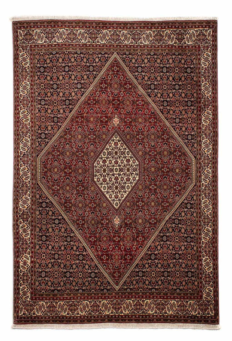 Persisk tæppe - Bijar - 296 x 201 cm - brun