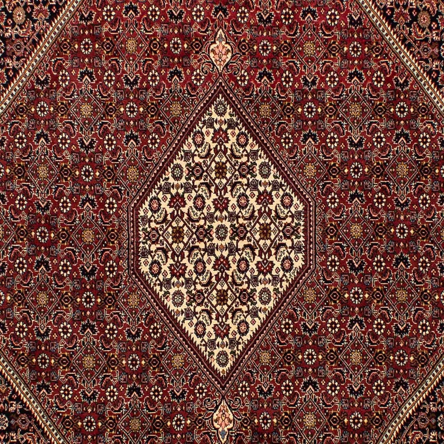 Persisk tæppe - Bijar - 296 x 201 cm - brun
