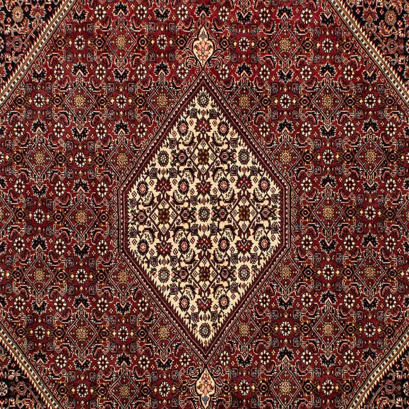Persisk tæppe - Bijar - 296 x 201 cm - brun