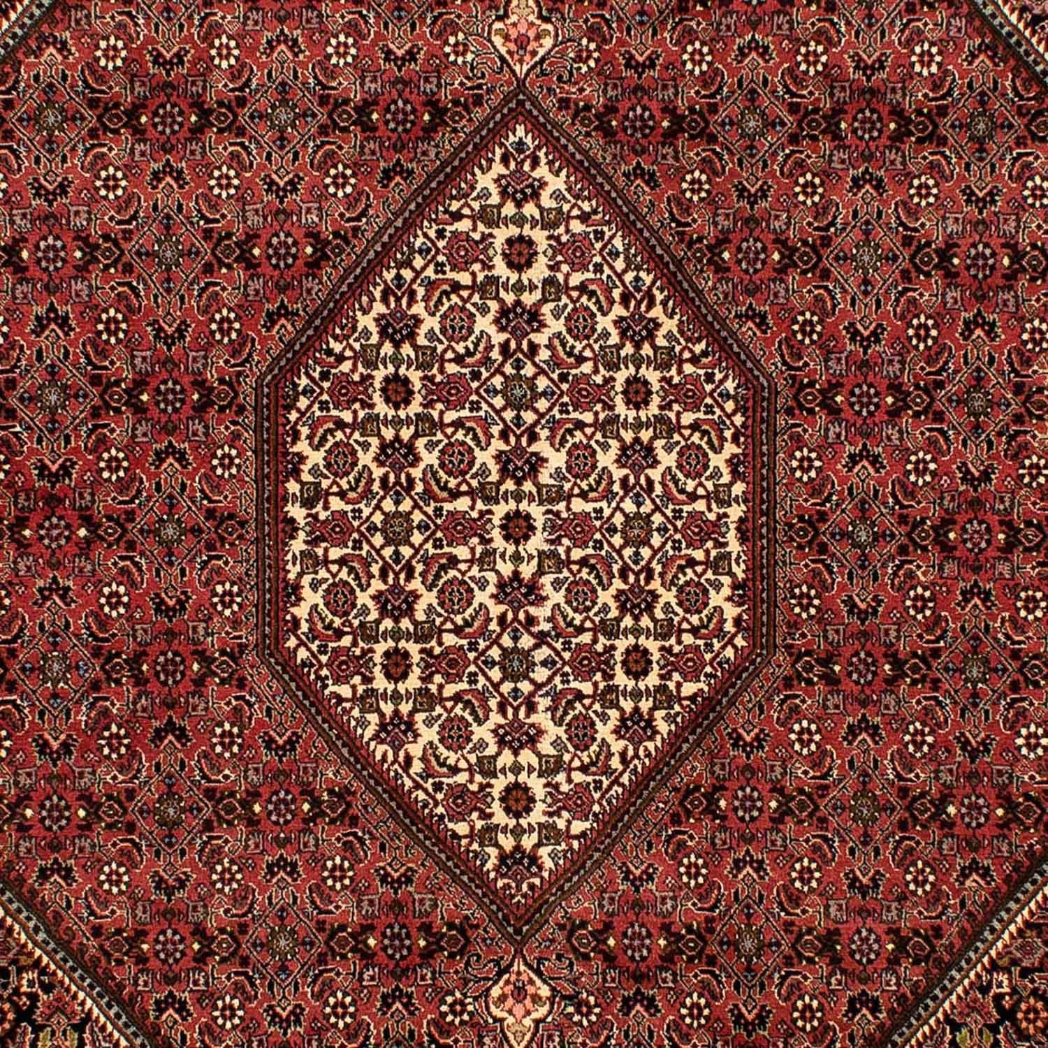 Persisk tæppe - Bijar - 283 x 204 cm - mørkerød