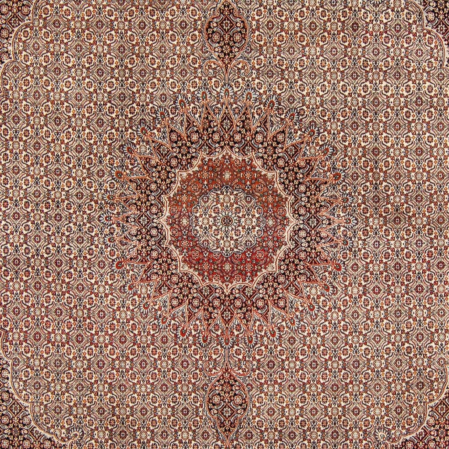 Persisk tæppe - Classic - 290 x 248 cm - mørkebrun