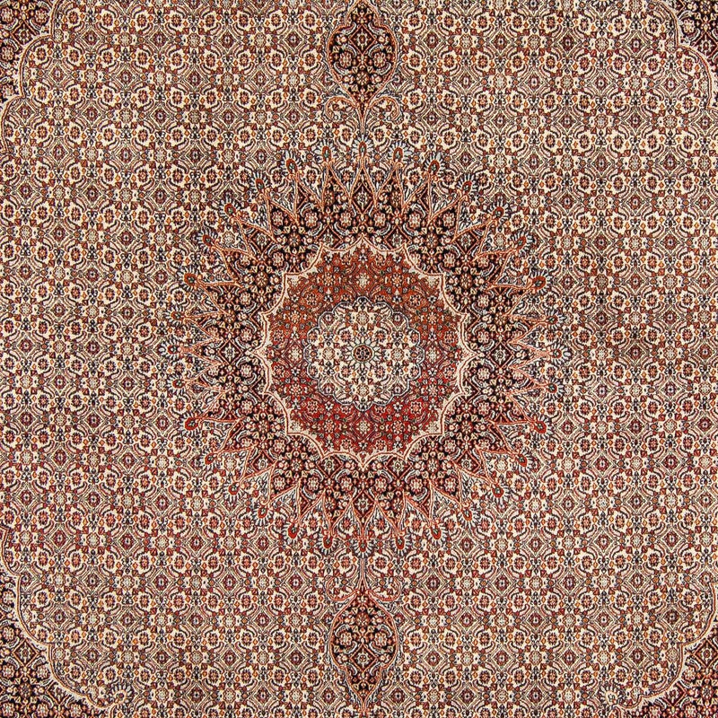 Persisk tæppe - Classic - 290 x 248 cm - mørkebrun
