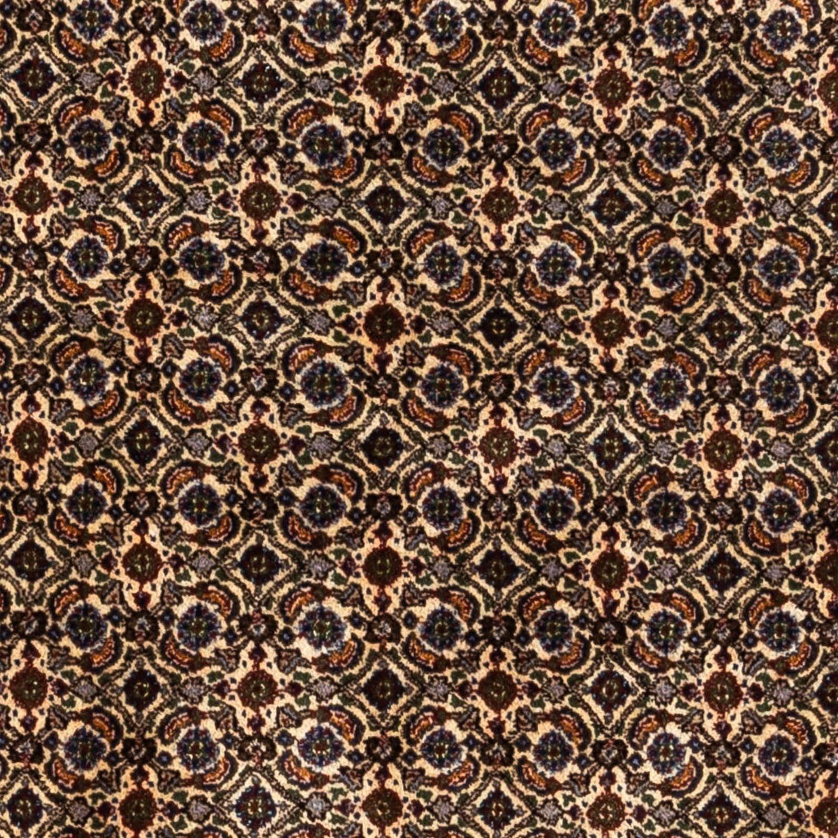 Persisk tæppe - Classic - 237 x 168 cm - beige