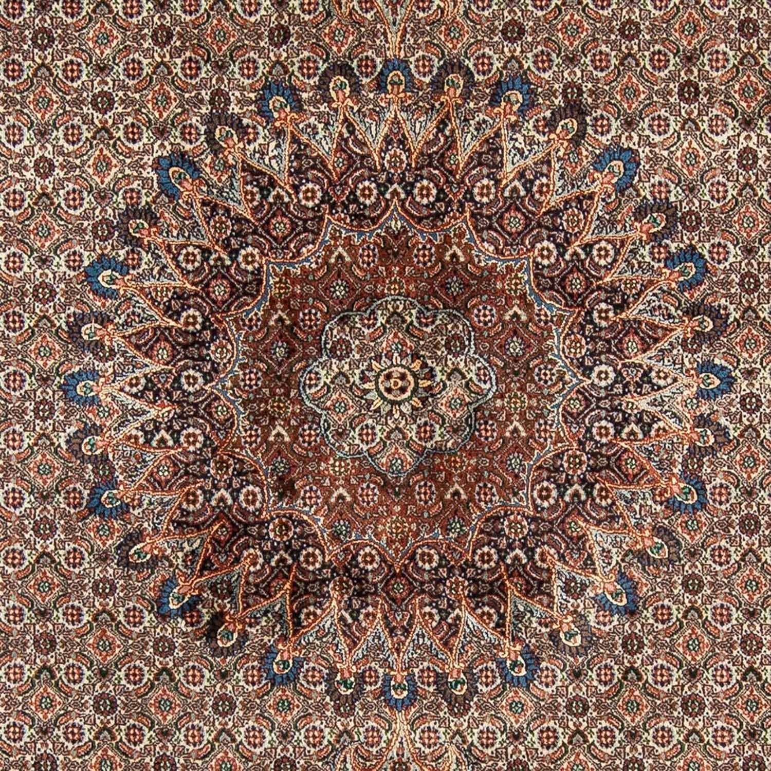 Persisk tæppe - Classic - 298 x 203 cm - beige
