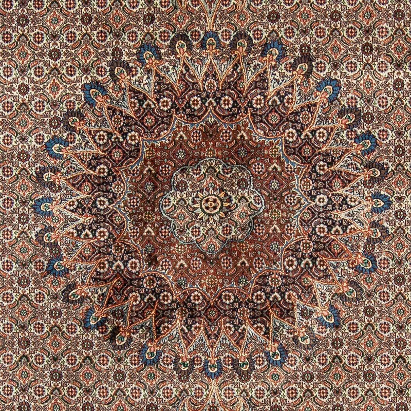Persisk tæppe - Classic - 298 x 203 cm - beige