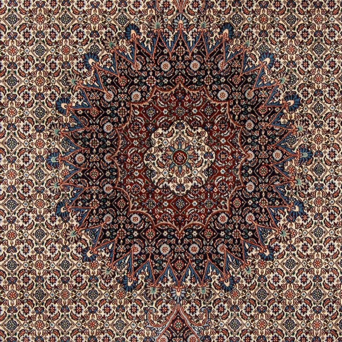 Persisk tæppe - Classic - 300 x 202 cm - beige