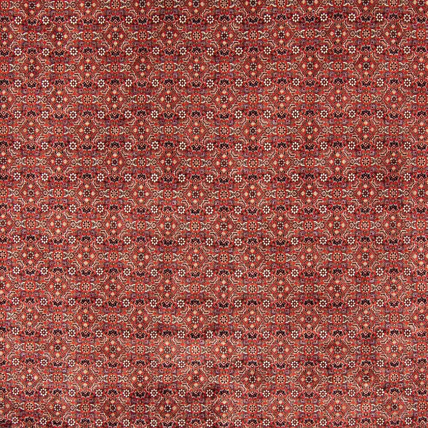 Persisk tæppe - Bijar - 403 x 298 cm - mørkerød
