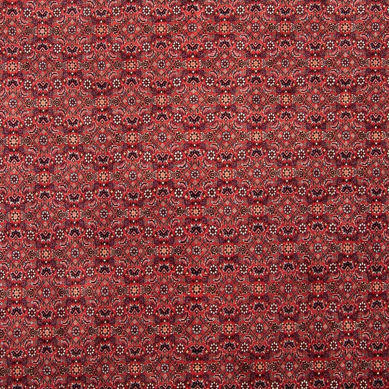 Persisk tæppe - Bijar - 296 x 250 cm - mørkerød
