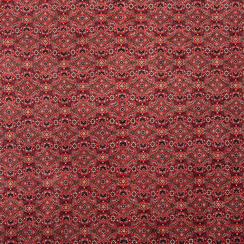Persisk tæppe - Bijar - 296 x 250 cm - mørkerød