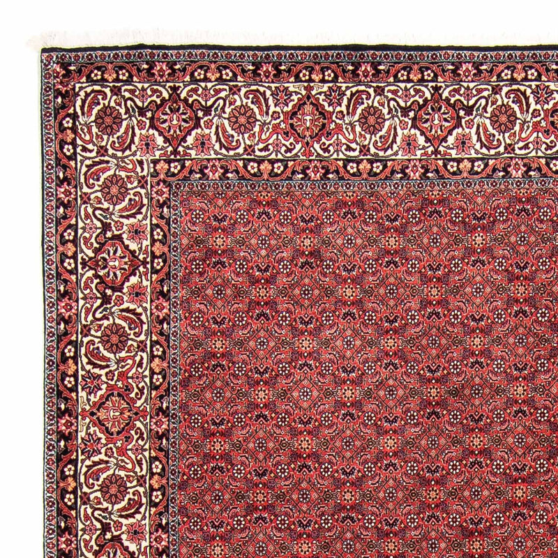 Persisk tæppe - Bijar - 296 x 250 cm - mørkerød