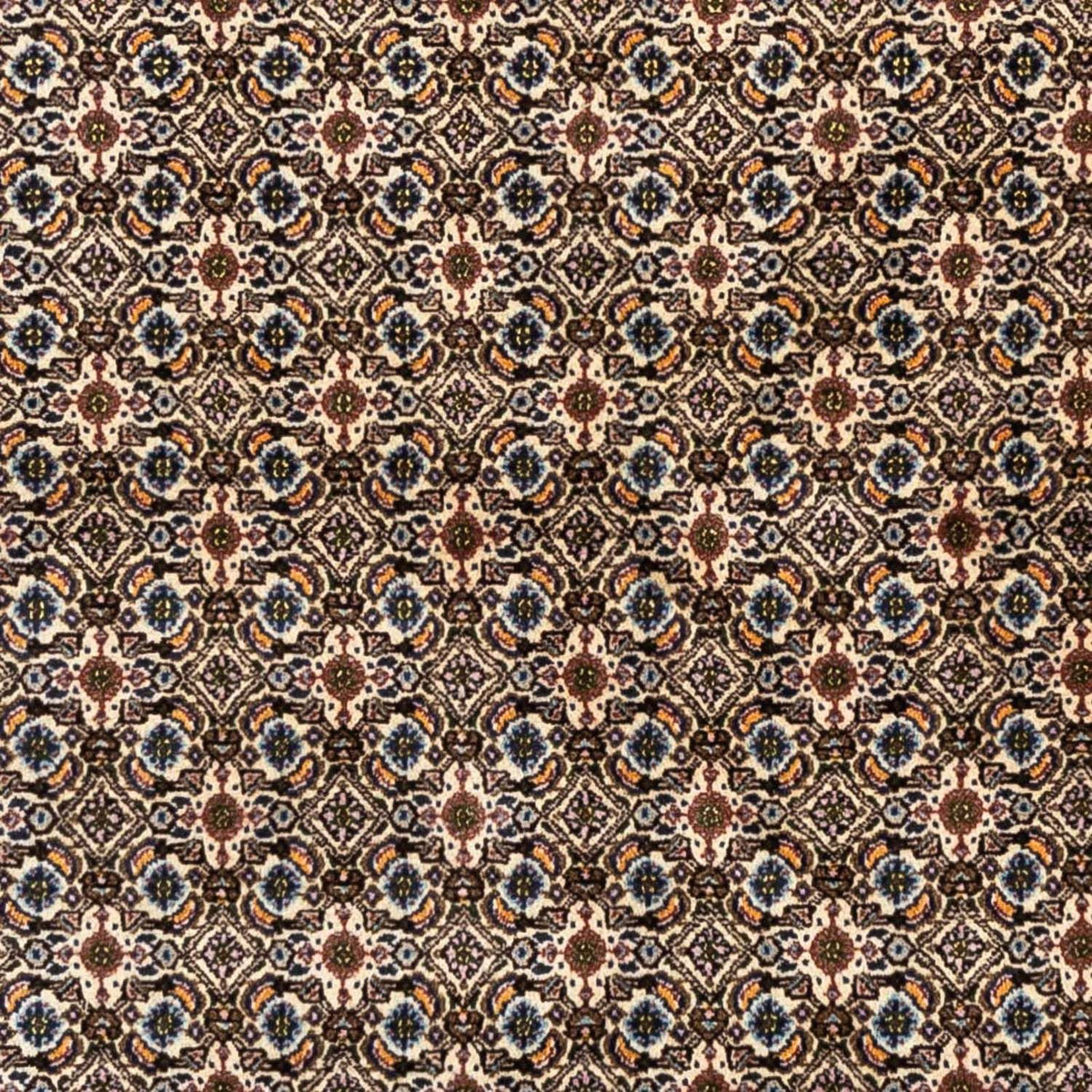 Persisk tæppe - Classic - 238 x 168 cm - beige
