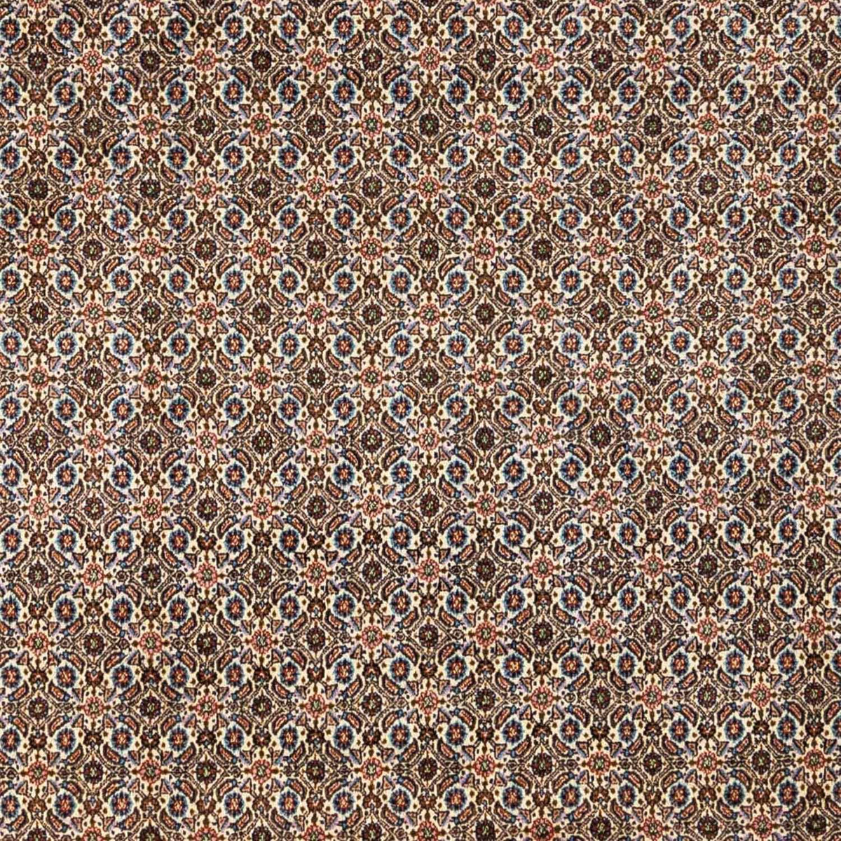 Persisk tæppe - Classic - 348 x 245 cm - beige
