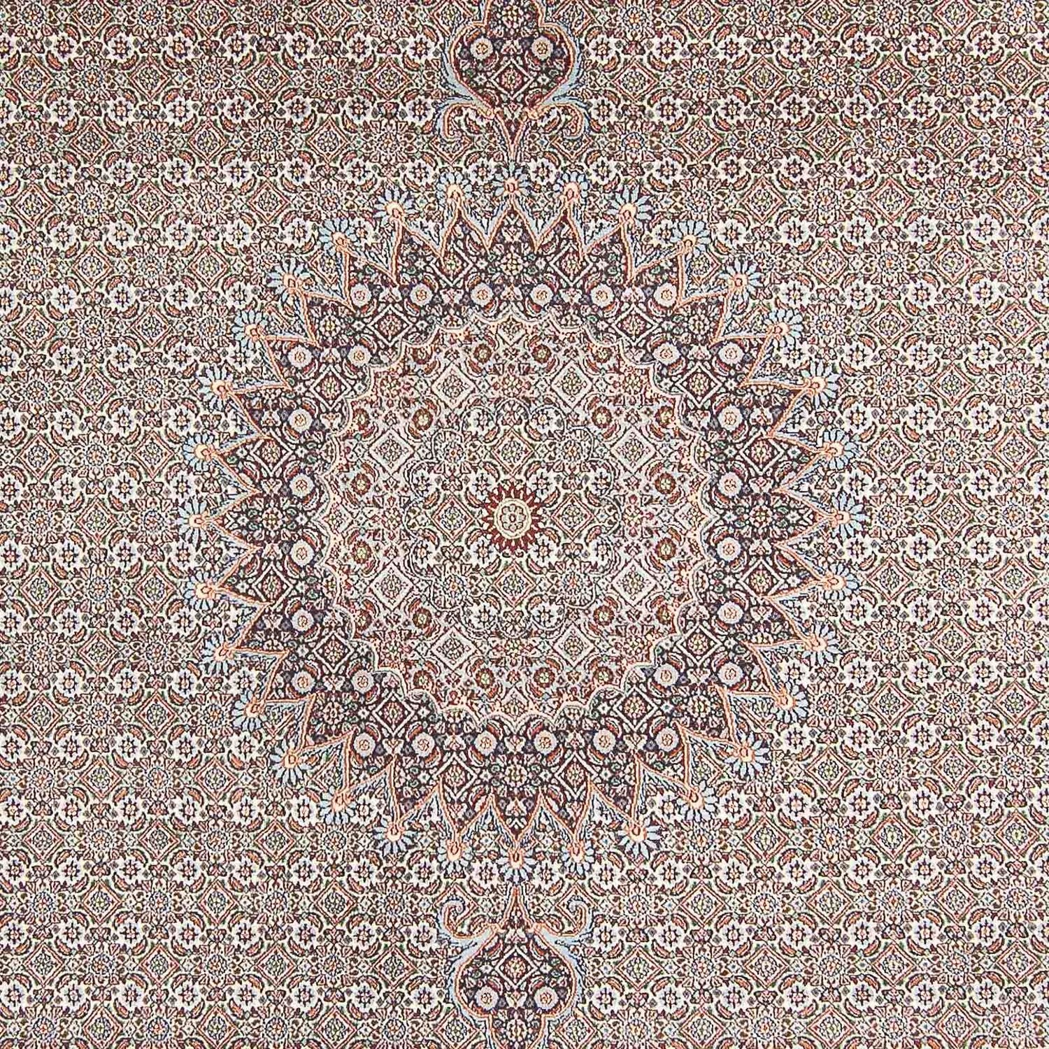 Persisk tæppe - Classic - 342 x 246 cm - lys brun