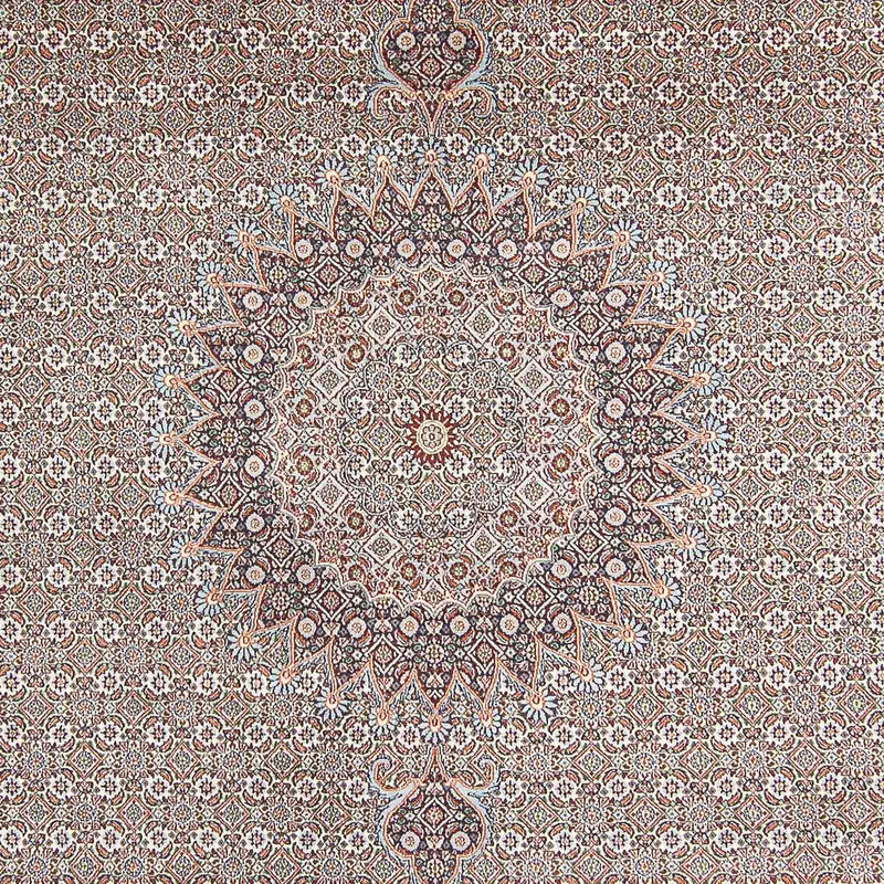 Persisk tæppe - Classic - 342 x 246 cm - lys brun