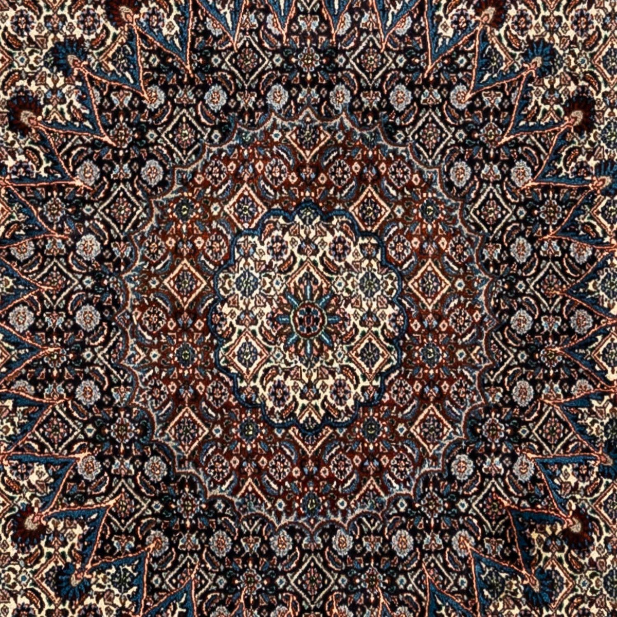 Persisk tæppe - Classic - 344 x 250 cm - beige