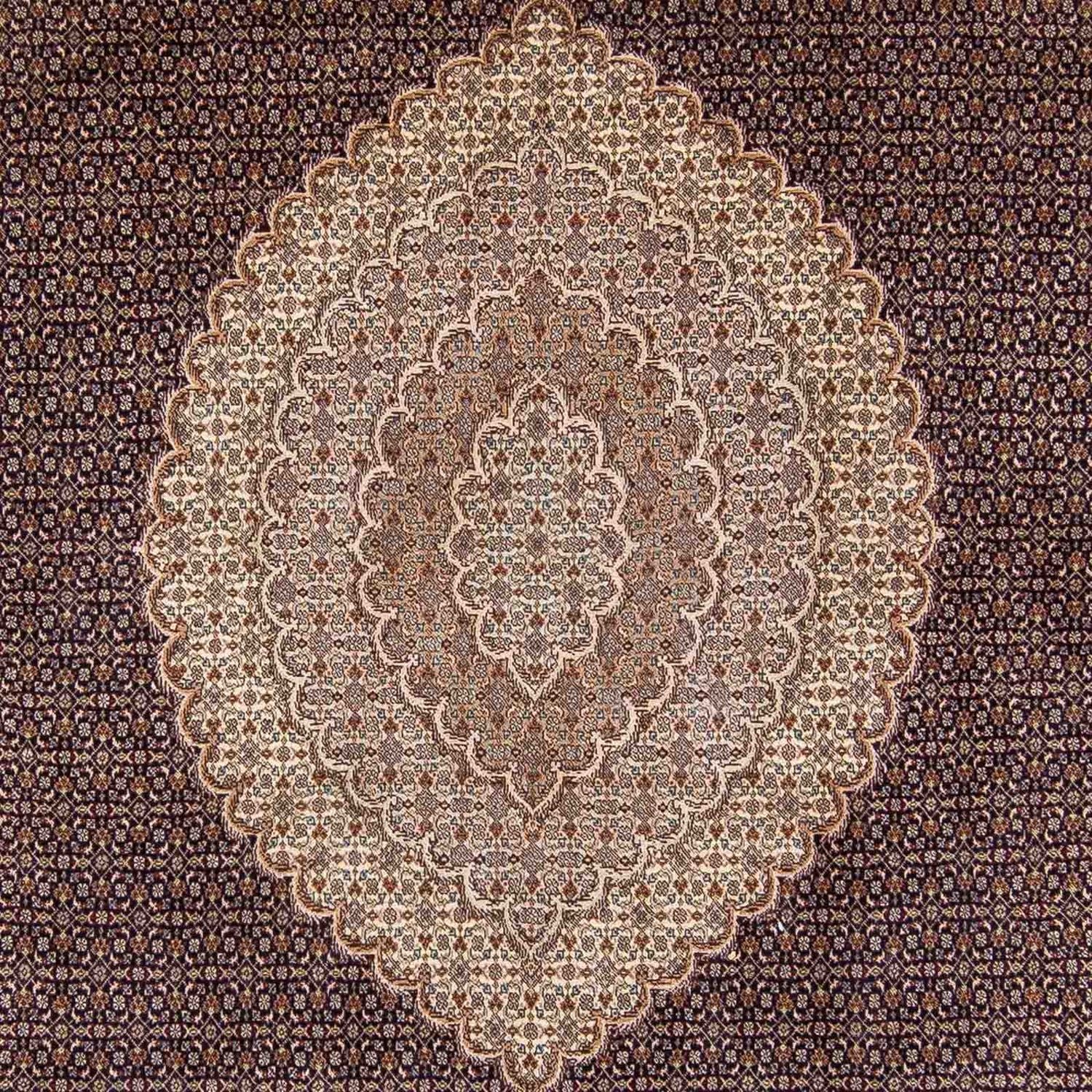 Persisk tæppe - Tabriz - 354 x 250 cm - lys brun