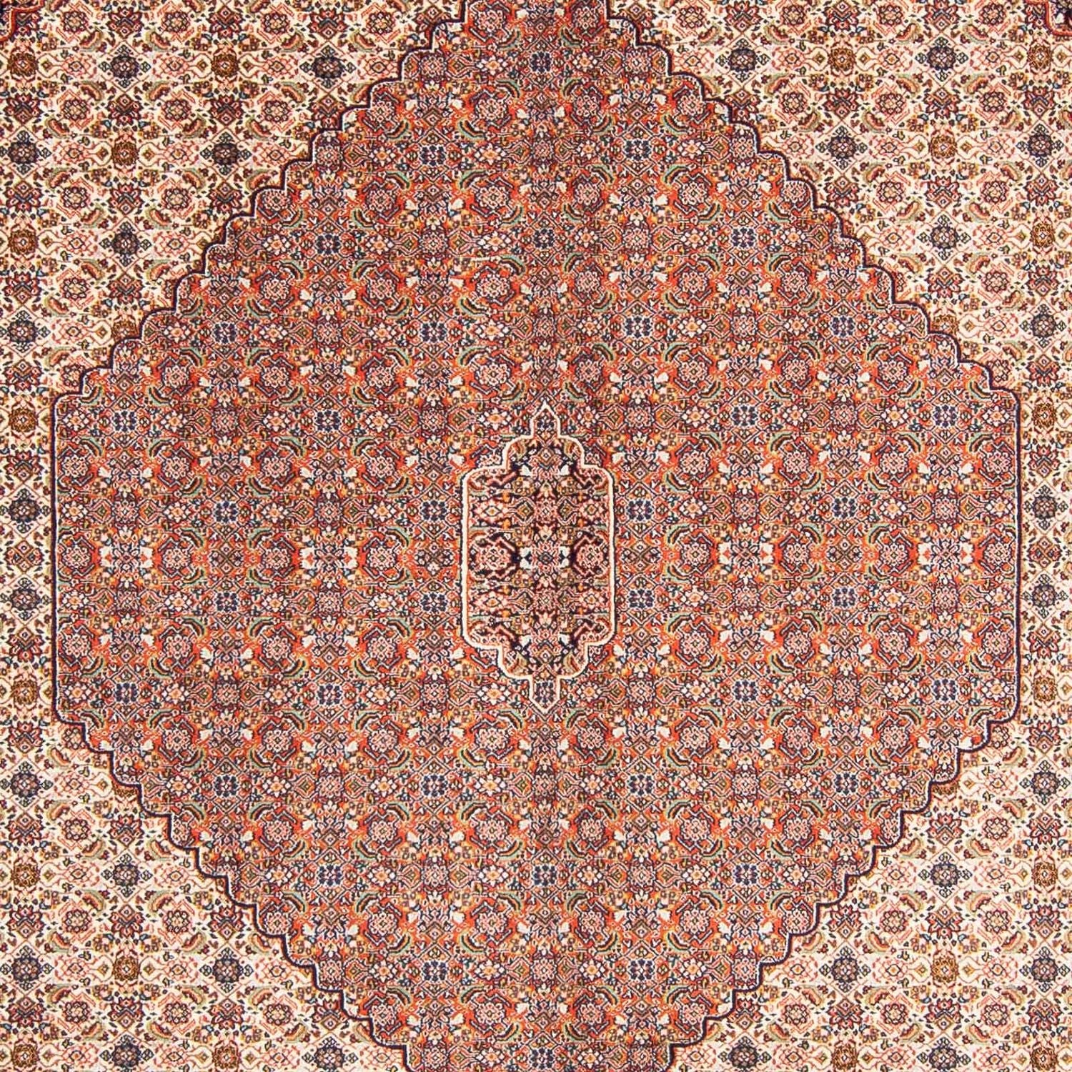 Persisk tæppe - Nomadisk - 313 x 212 cm - lys brun