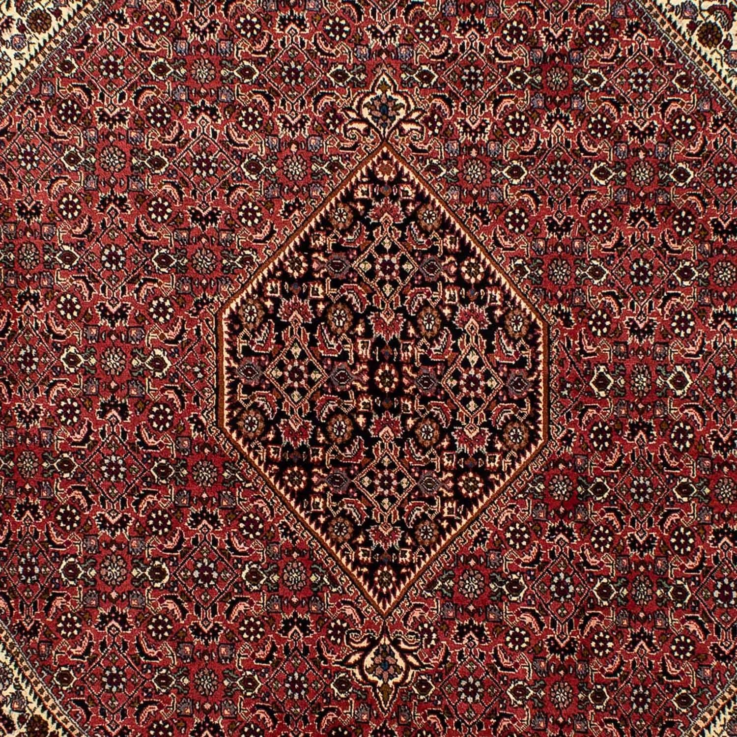 Persisk tæppe - Bijar - 290 x 197 cm - mørkerød