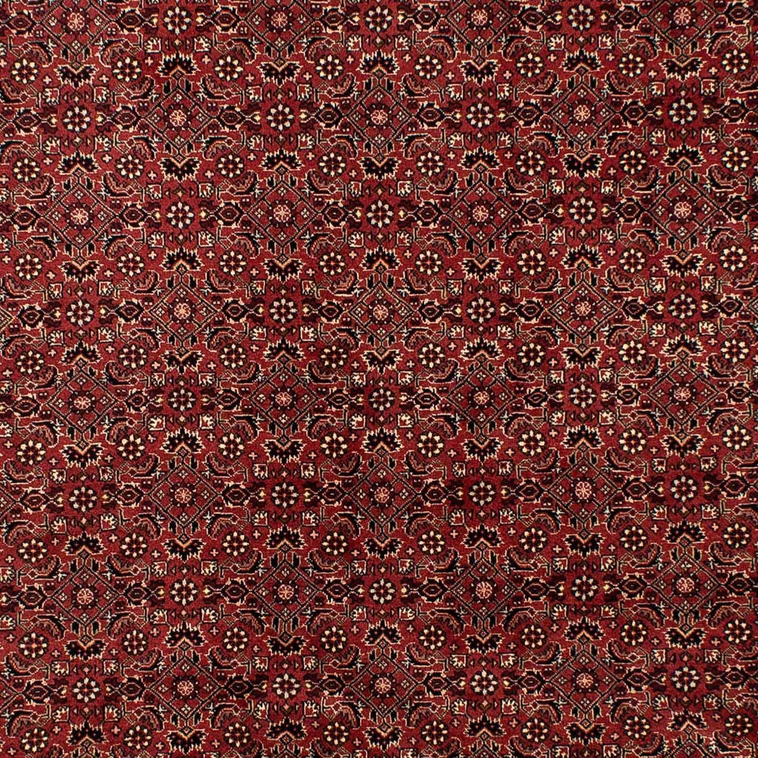 Persisk tæppe - Bijar - 297 x 197 cm - mørkerød