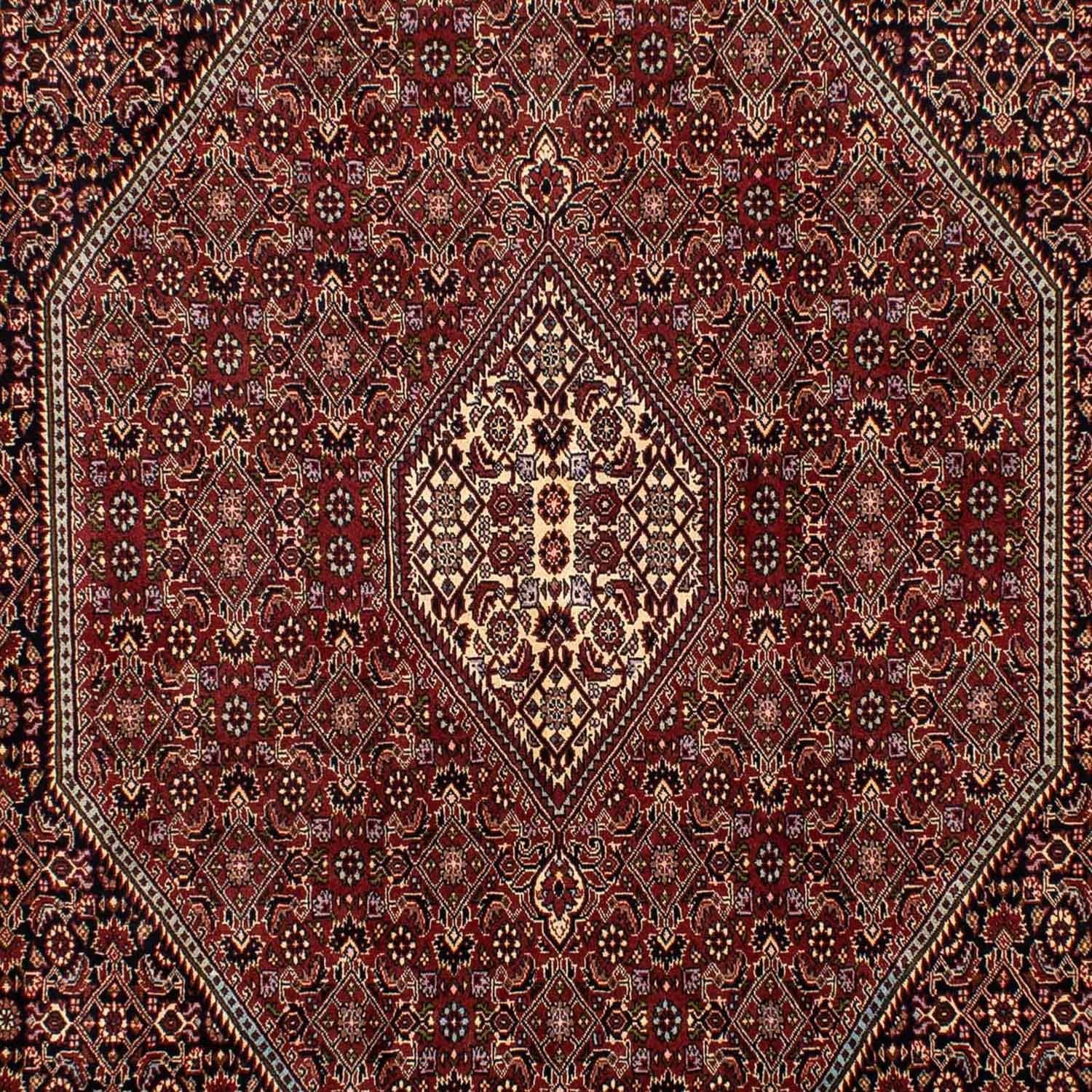 Persisk tæppe - Bijar - 283 x 199 cm - brun