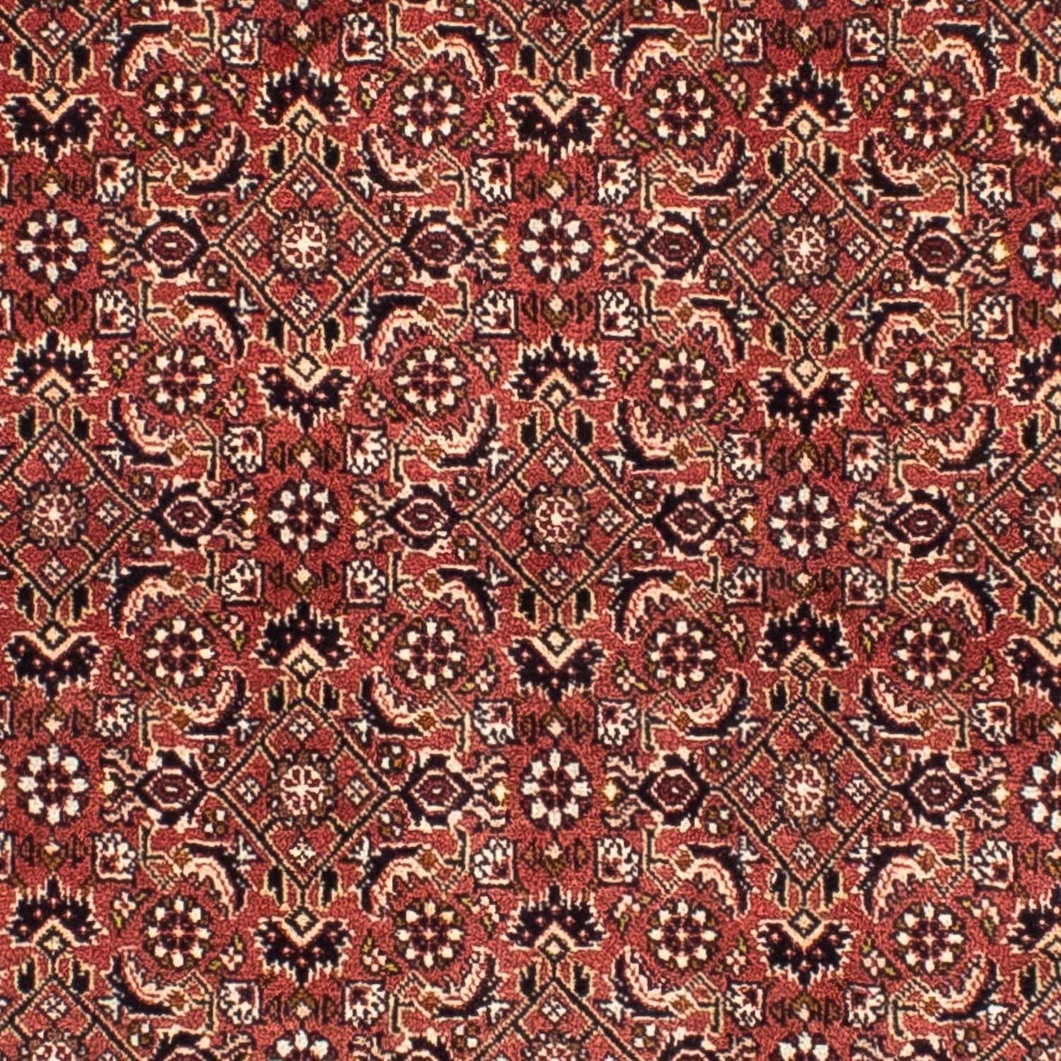 Persisk tæppe - Bijar firkantet  - 200 x 195 cm - lysrød