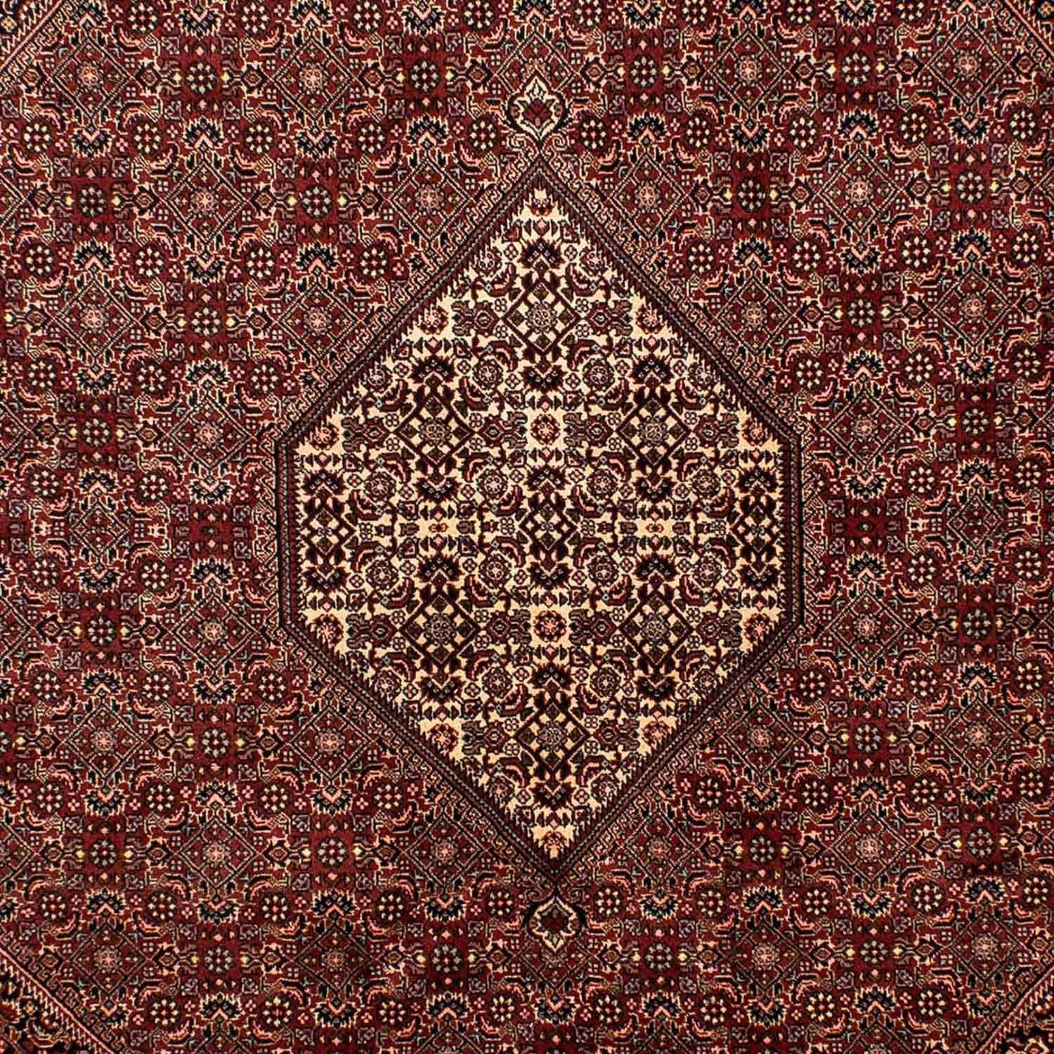 Persisk tæppe - Bijar - 284 x 199 cm - brun