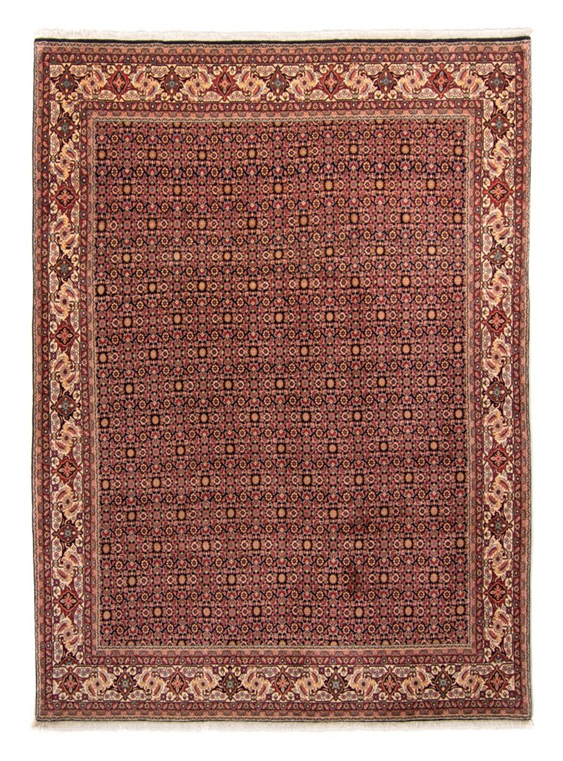 Persisk tæppe - Bijar - 343 x 254 cm - brun