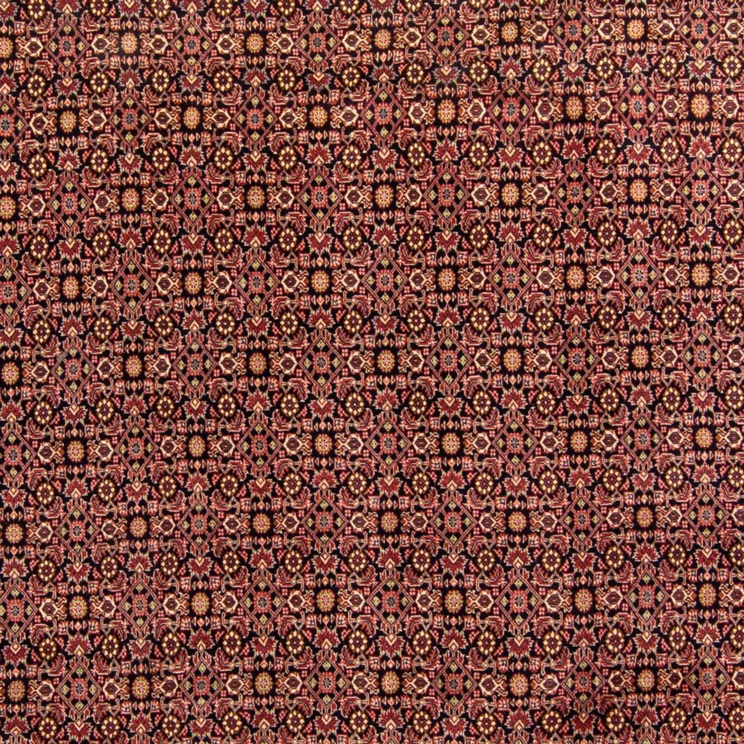 Persisk tæppe - Bijar - 343 x 254 cm - brun