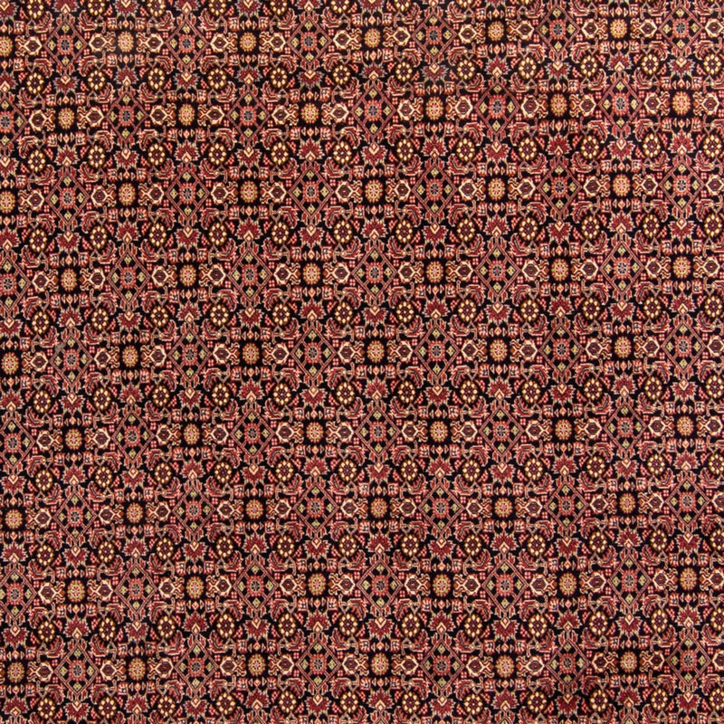 Persisk tæppe - Bijar - 343 x 254 cm - brun