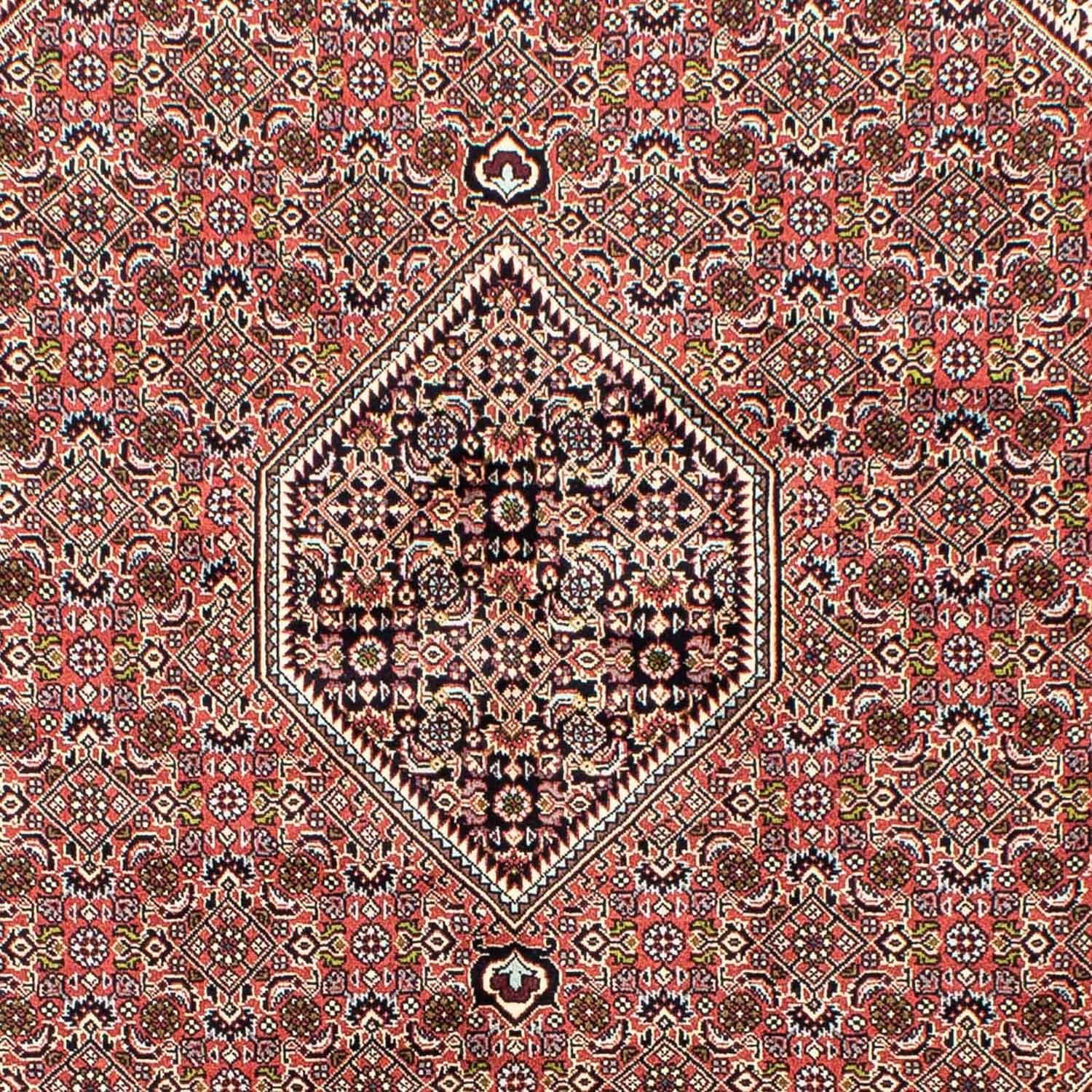 Persisk tæppe - Bijar - 250 x 168 cm - lysrød