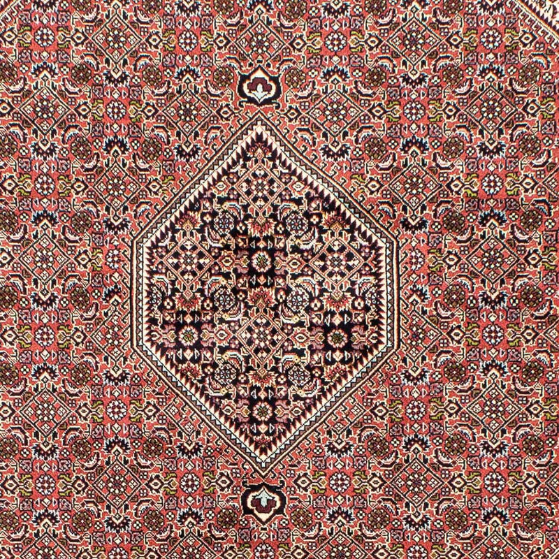 Persisk tæppe - Bijar - 250 x 168 cm - lysrød