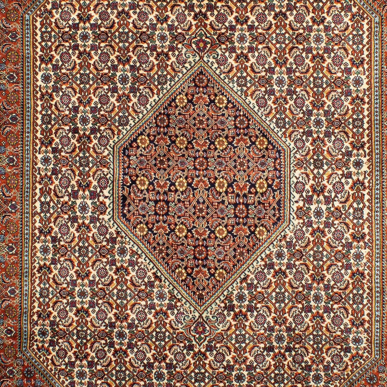 Persisk tæppe - Bijar - 297 x 202 cm - rust