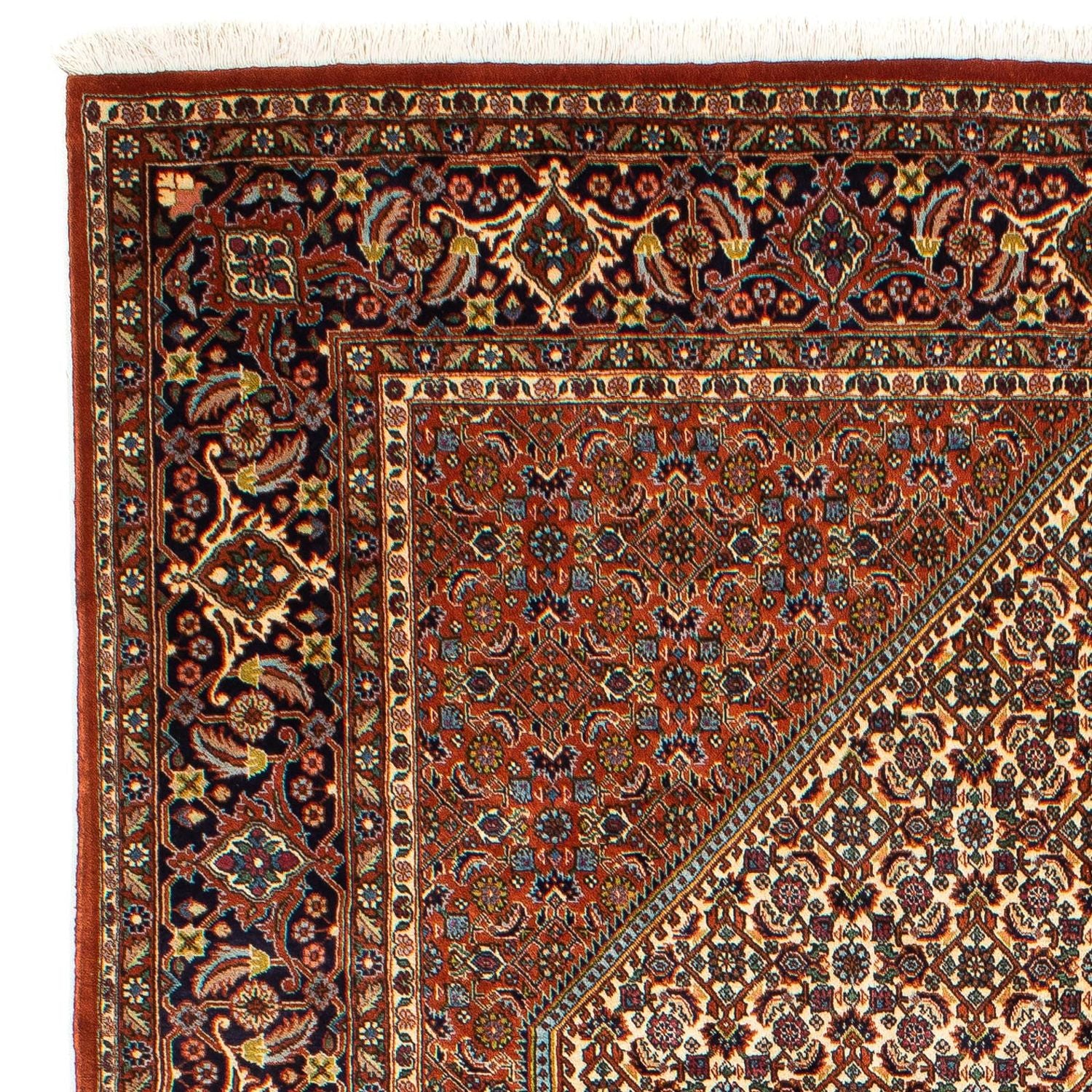 Persisk tæppe - Bijar - 297 x 202 cm - rust