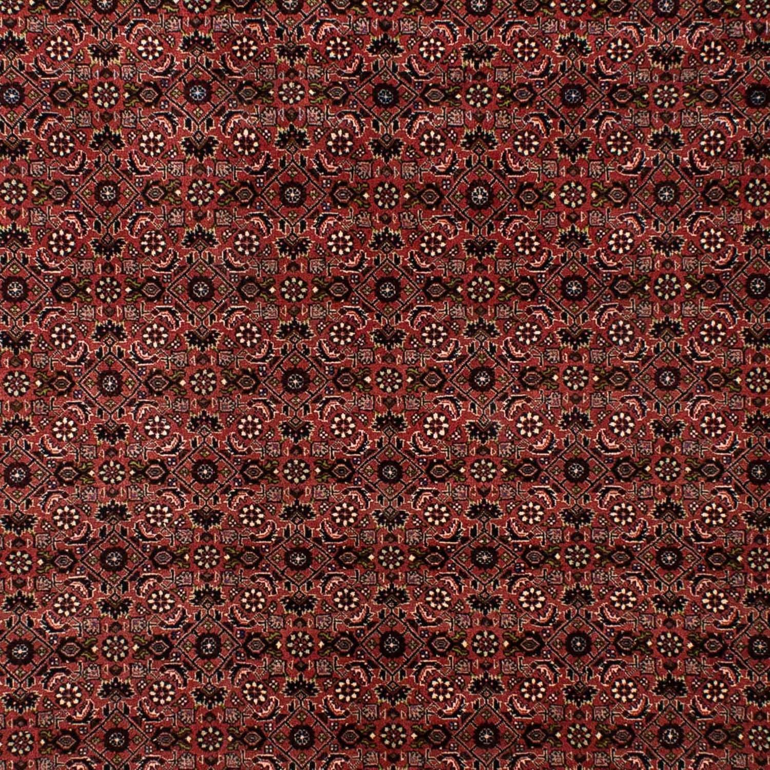 Persisk tæppe - Bijar - 295 x 196 cm - mørkerød