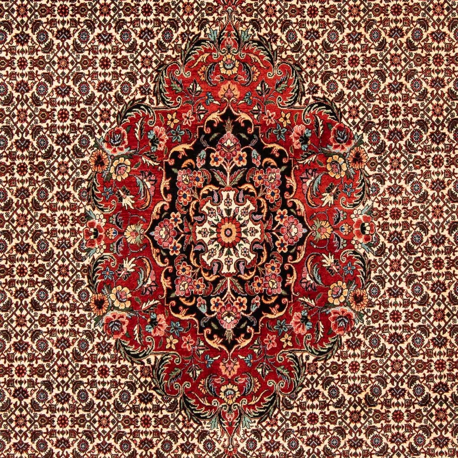 Persisk tæppe - Bijar - 258 x 200 cm - mørkerød
