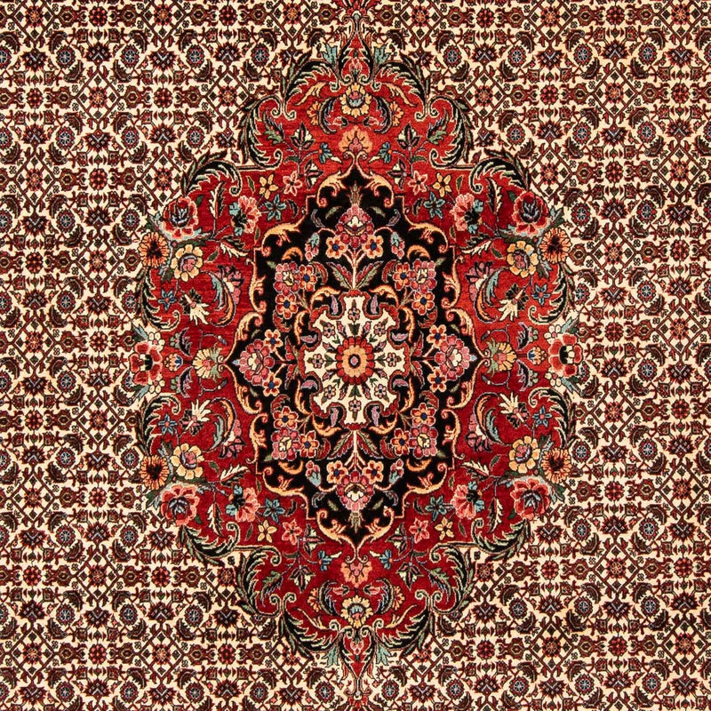 Persisk tæppe - Bijar - 258 x 200 cm - mørkerød