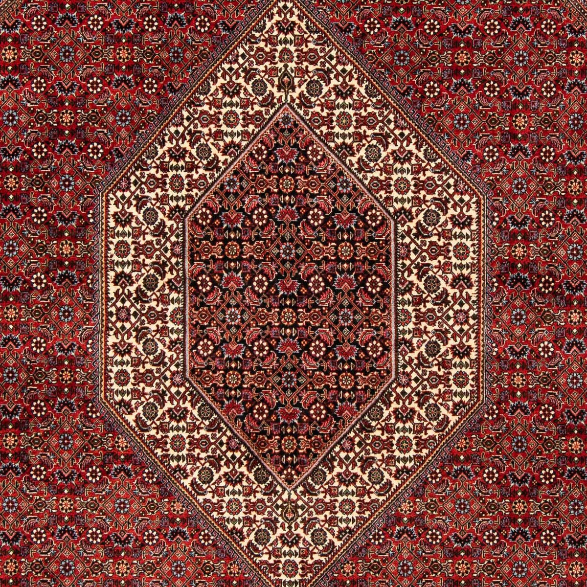 Persisk tæppe - Bijar - 244 x 200 cm - mørkerød