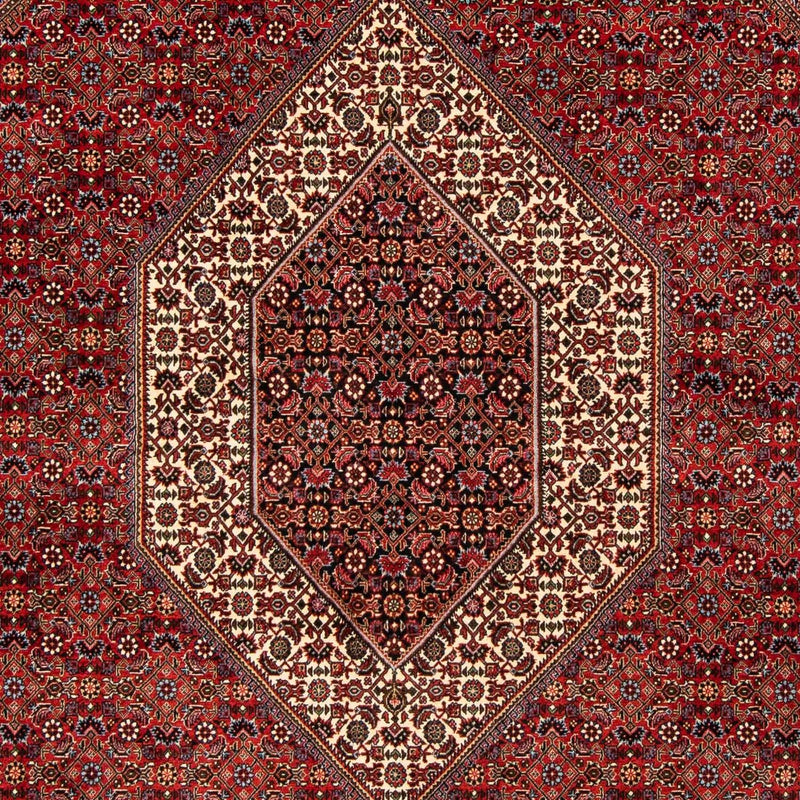 Persisk tæppe - Bijar - 244 x 200 cm - mørkerød