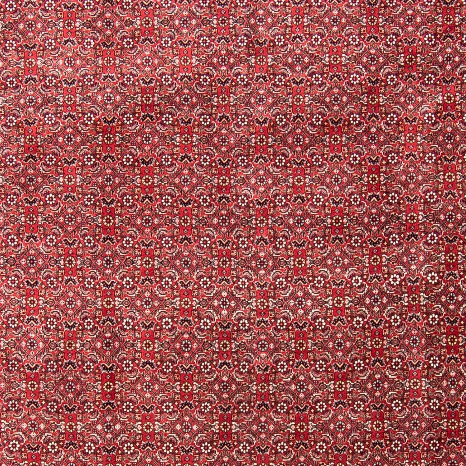 Persisk tæppe - Bijar - 340 x 255 cm - lysrød