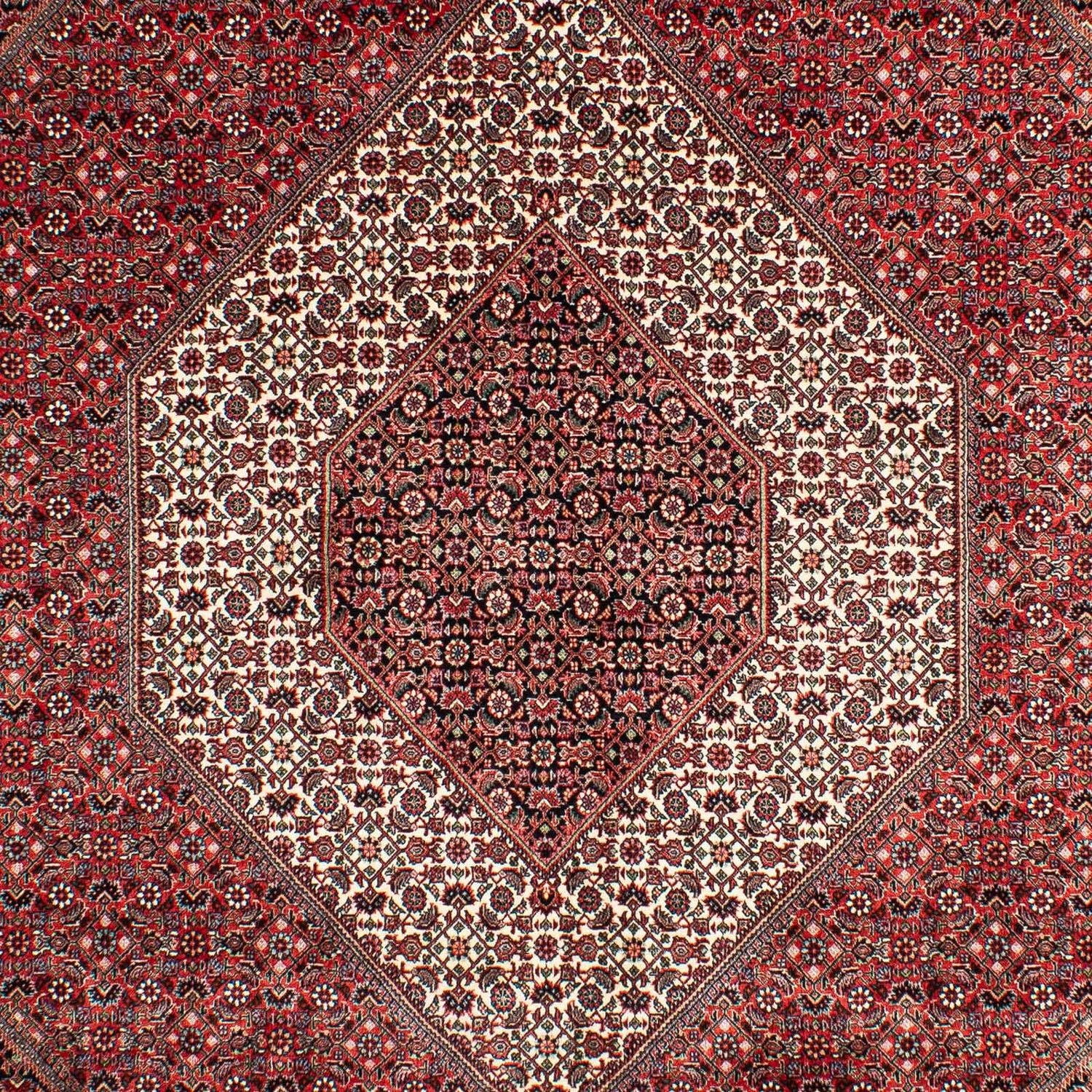 Persisk tæppe - Bijar - 302 x 204 cm - lysrød