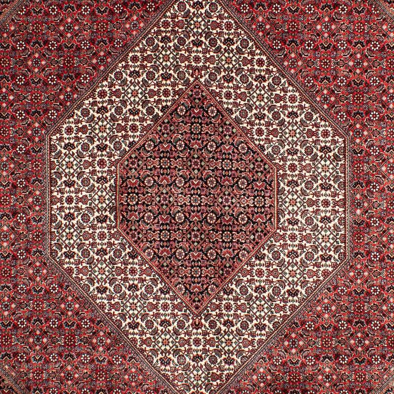 Persisk tæppe - Bijar - 302 x 204 cm - lysrød