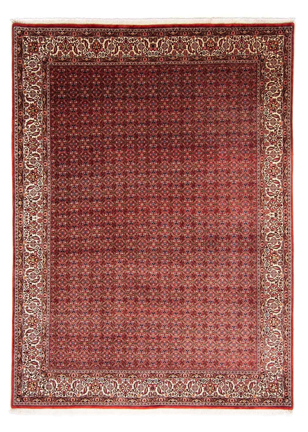 Persisk tæppe - Bijar - 350 x 250 cm - mørkerød