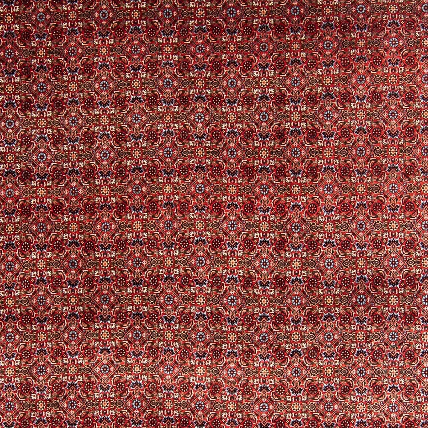 Persisk tæppe - Bijar - 350 x 250 cm - mørkerød