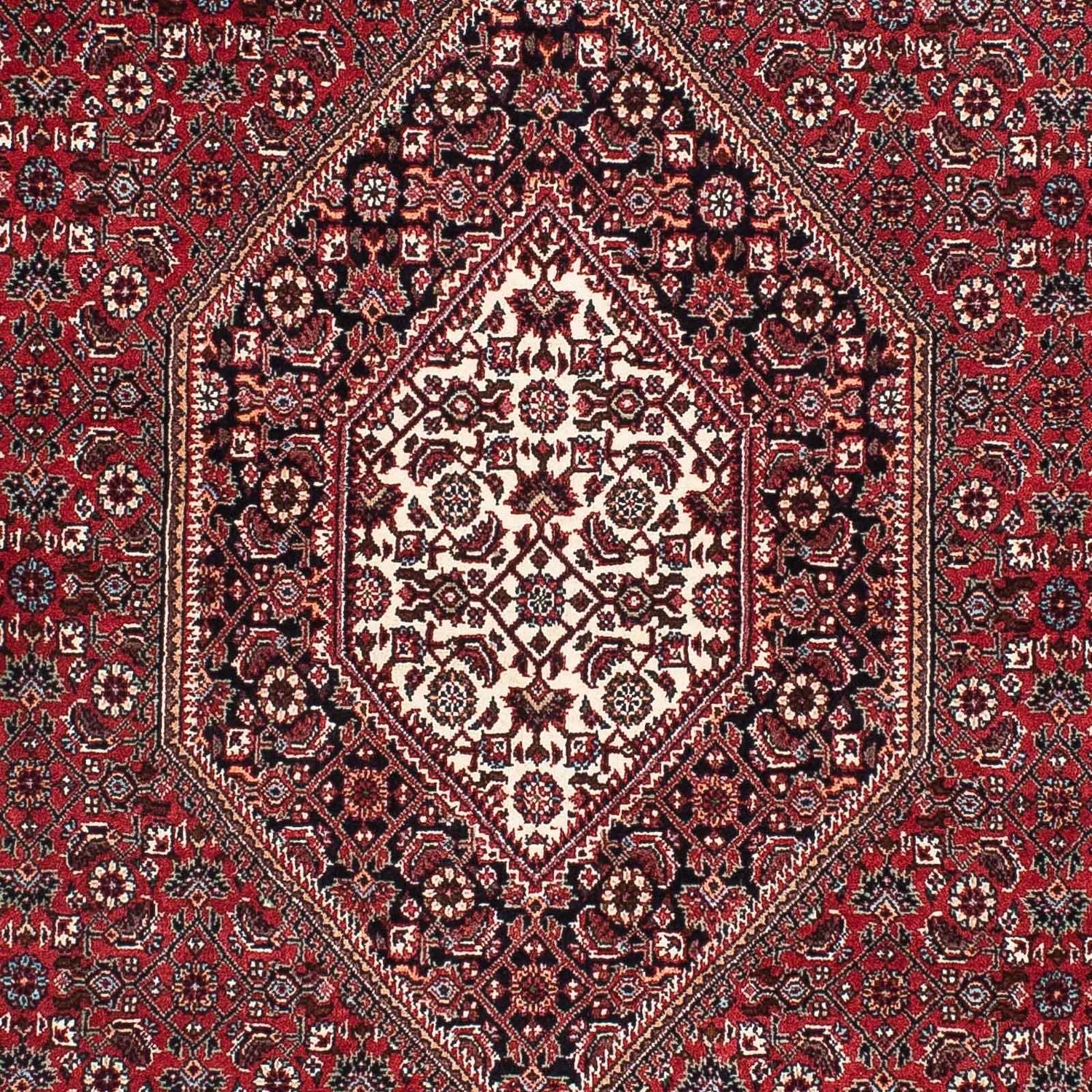 Persisk tæppe - Bijar - 173 x 106 cm - rød