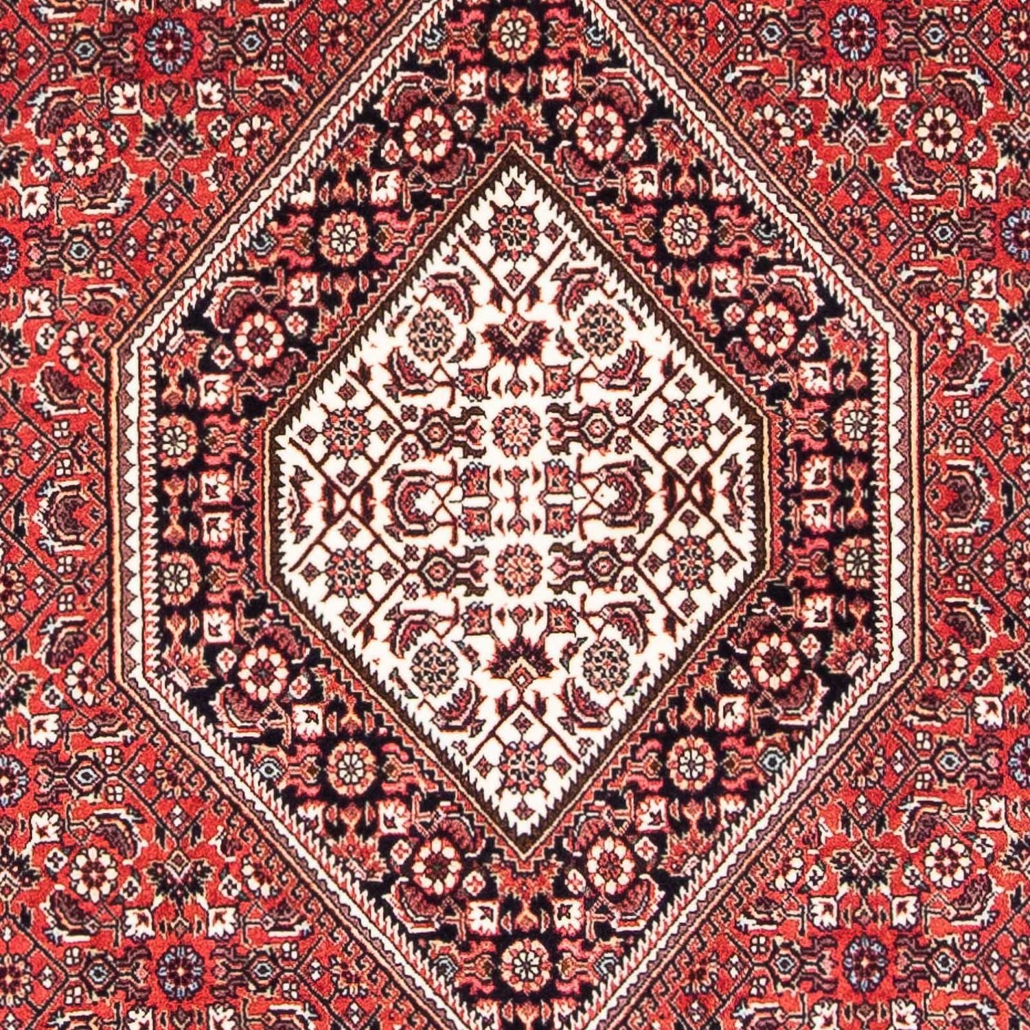 Persisk tæppe - Bijar - 174 x 110 cm - lysrød