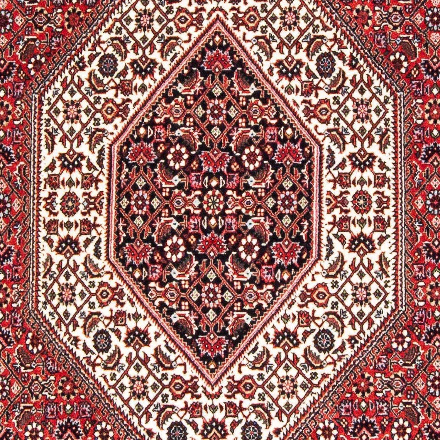 Persisk tæppe - Bijar - 177 x 110 cm - rød