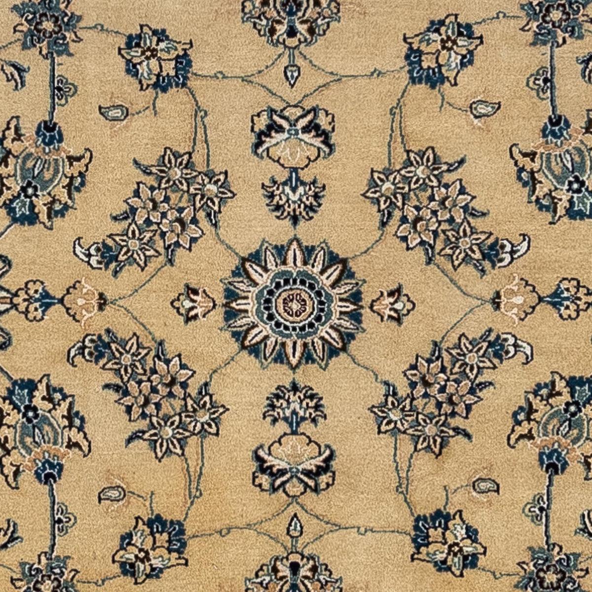 Persisk tæppe - Nain - Royal - 343 x 247 cm - lys brun