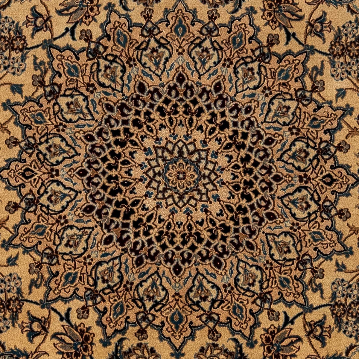Persisk tæppe - Nain - Royal - 373 x 246 cm - mørk beige