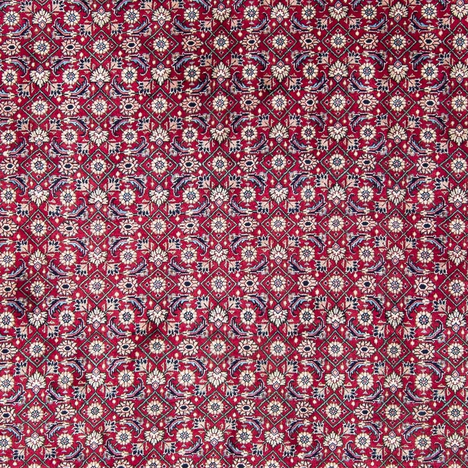 Persisk tæppe - Nomadisk - 328 x 254 cm - rød