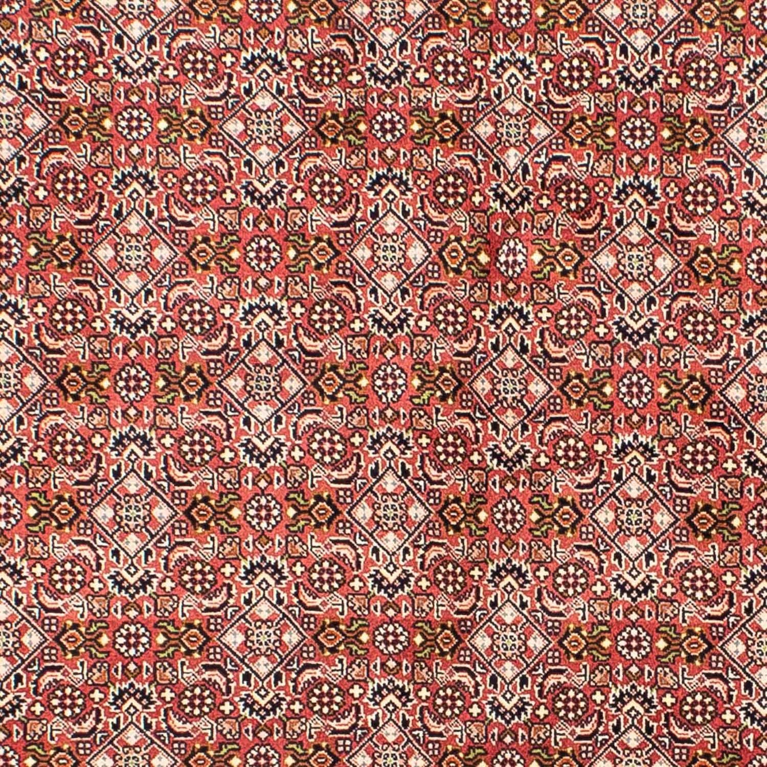 Persisk tæppe - Bijar - 215 x 136 cm - lysrød